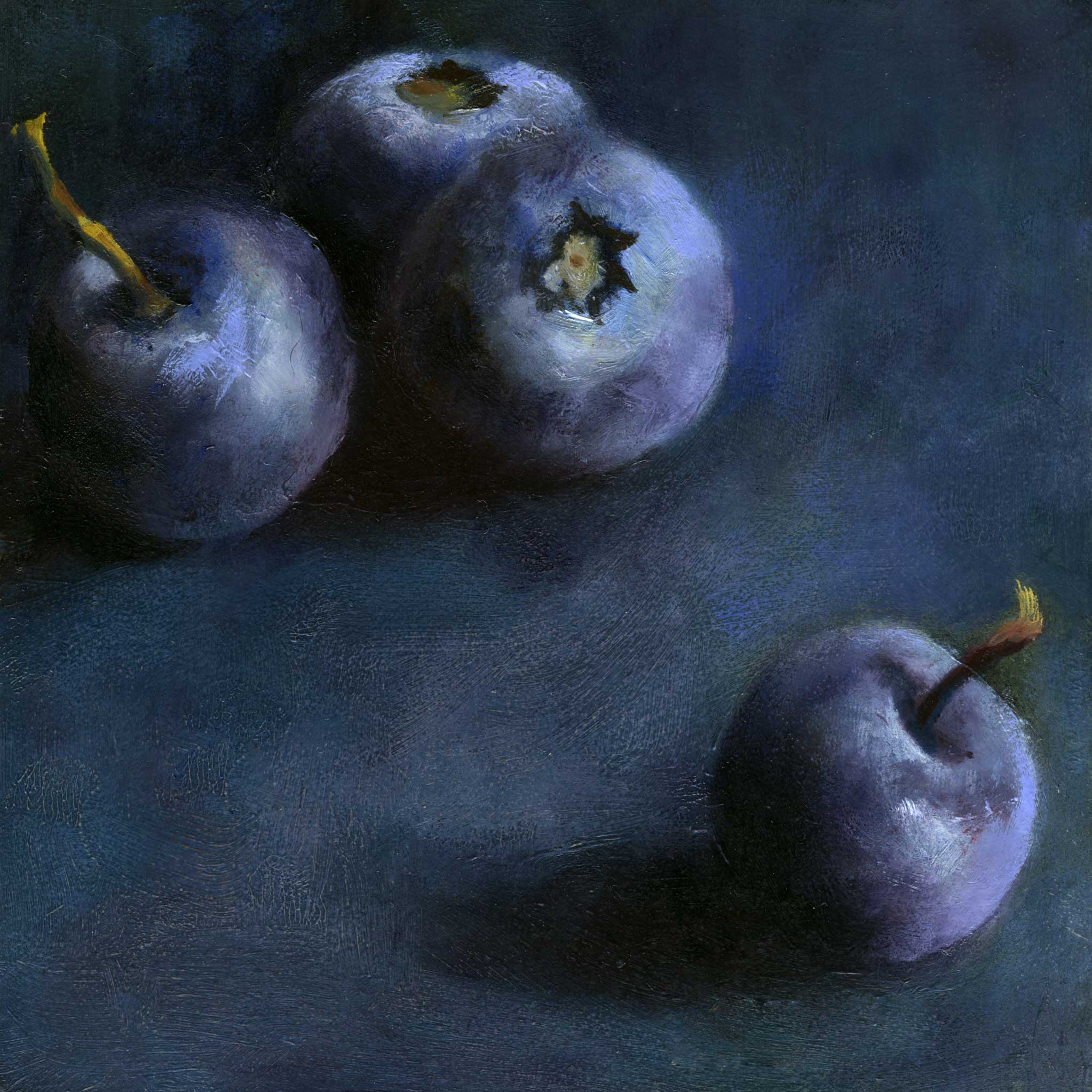 Four plum navy blueberries scattered on a dark indigo background. This is an archival print of my realistic oil painting still life. The original square artwork is sold.