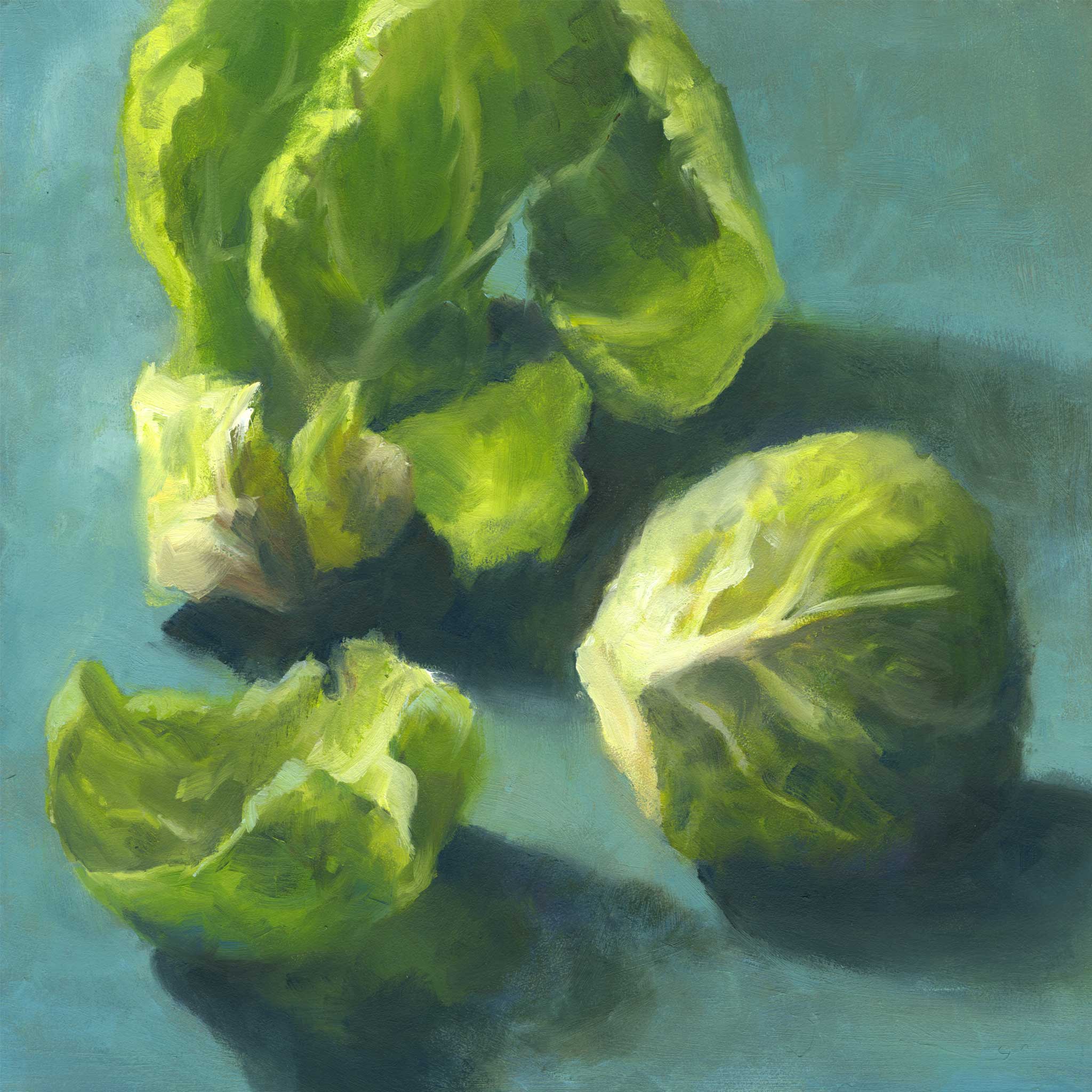 Brussels Sprout - Art Print - Galleria Fresco