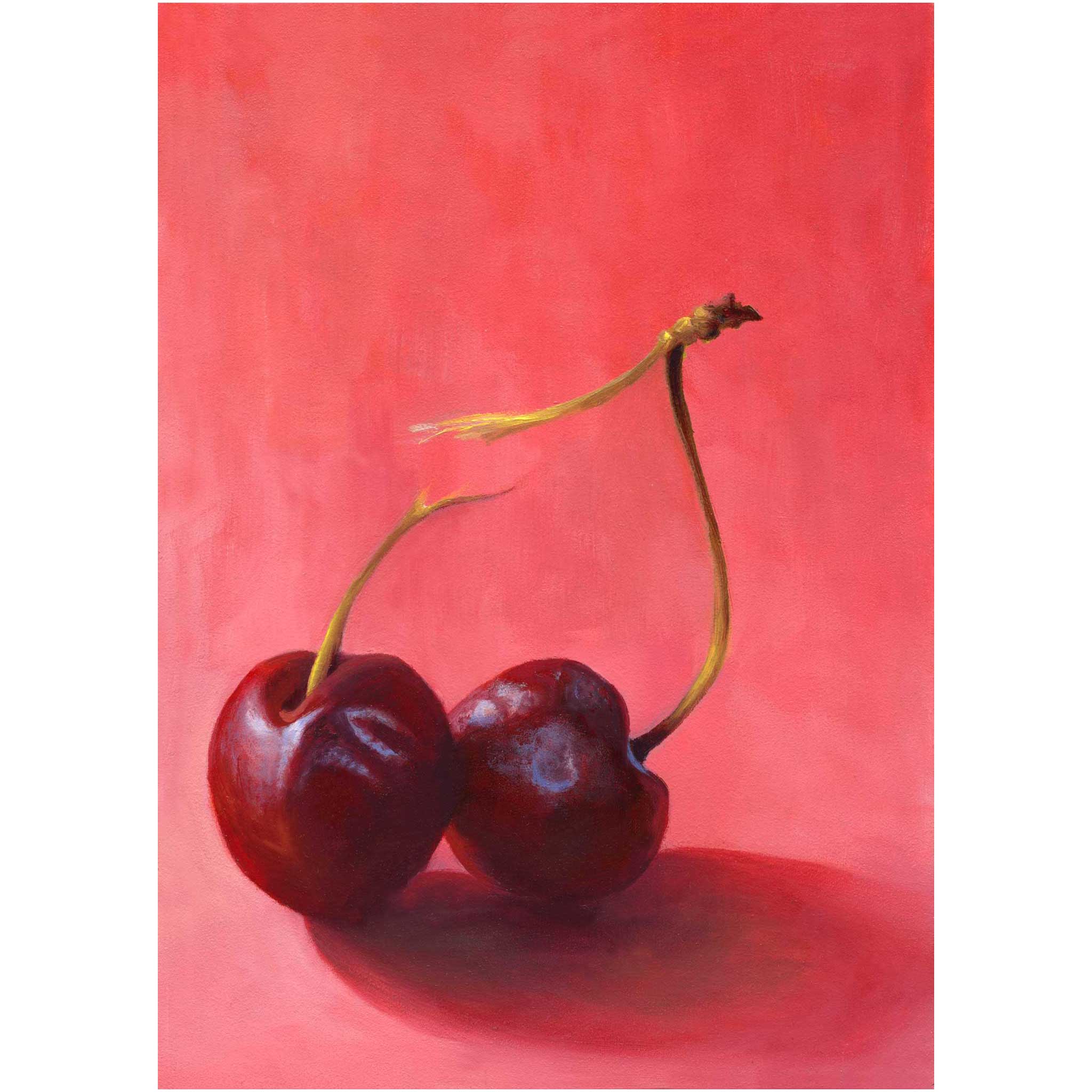 Two dark burgundy red cherries on a deep rose pink background, their apple green stem is split. This is a giclee art print of my original fruit still life oil painting by artist Jo Bradney