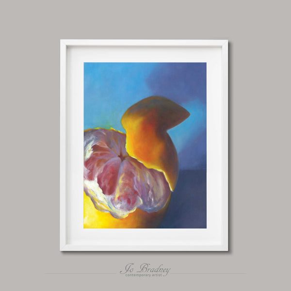 A pink grapefruit with its yellow peel sunny against a blue background. This archival art print of my fruit still life oil painting is shown in simple white picture frame.